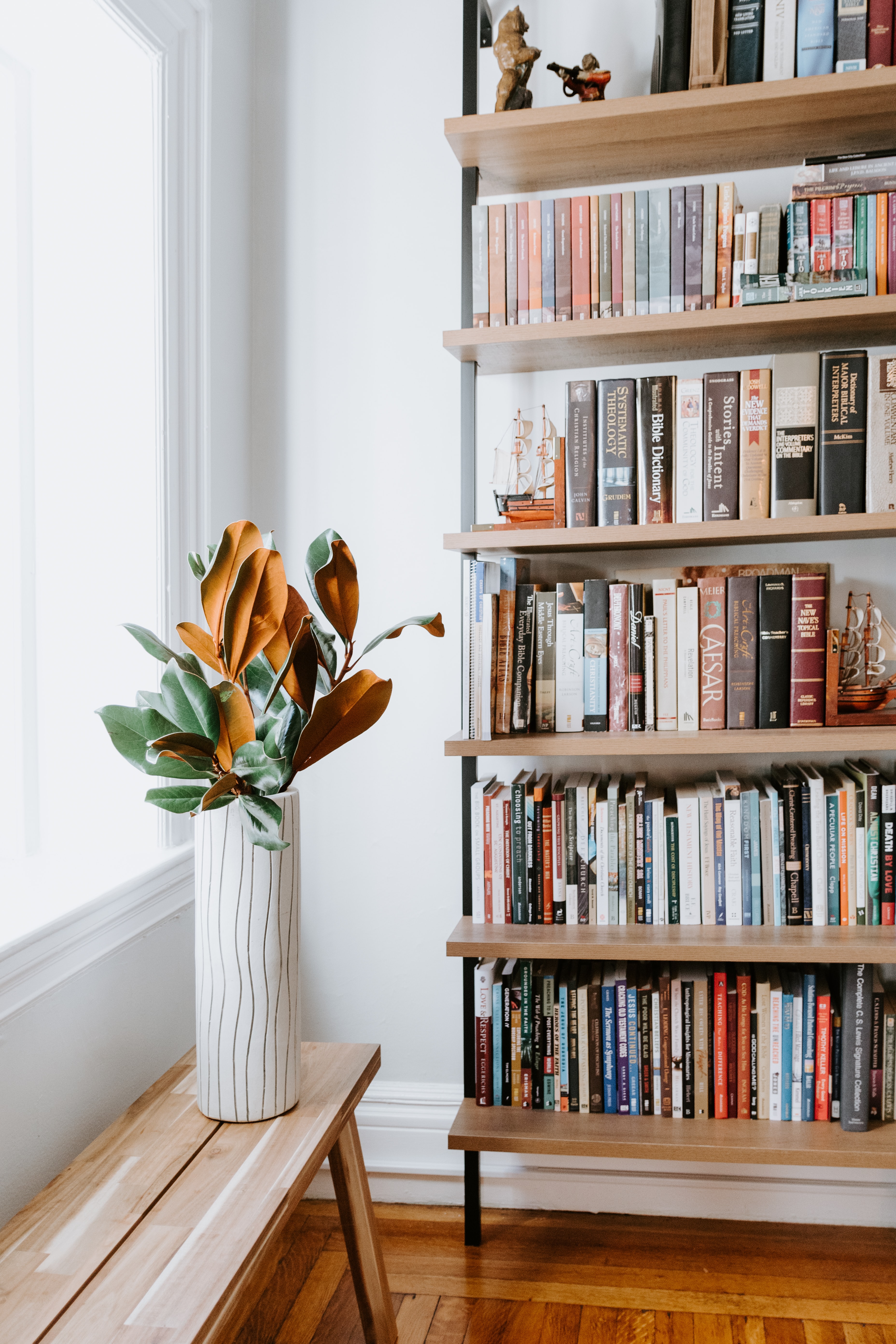 A normal bookshelf with 130 books